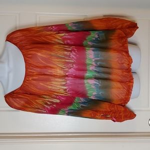 Trac Shear Ballon Sleeve Blouse